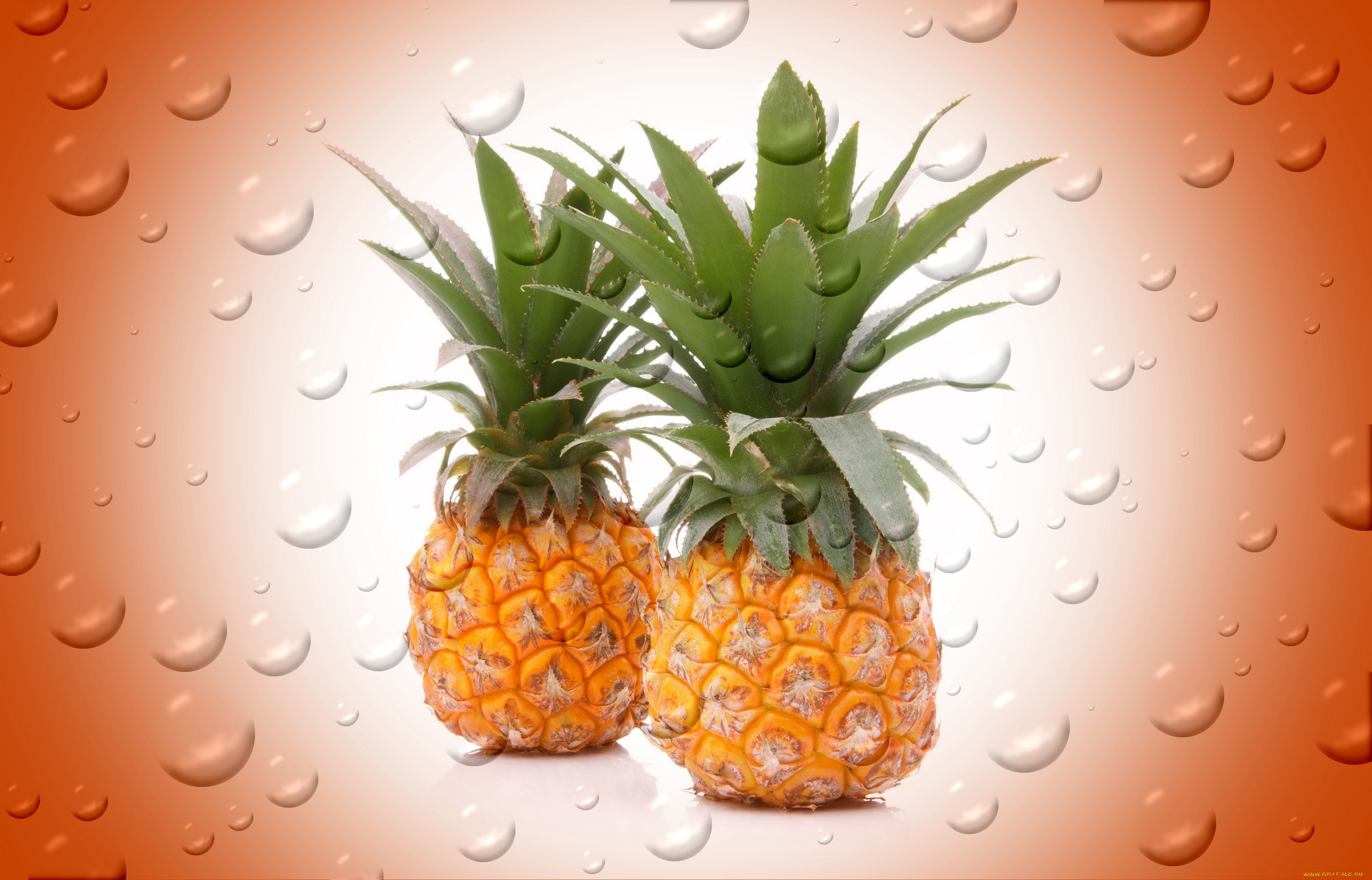 , , , , , 